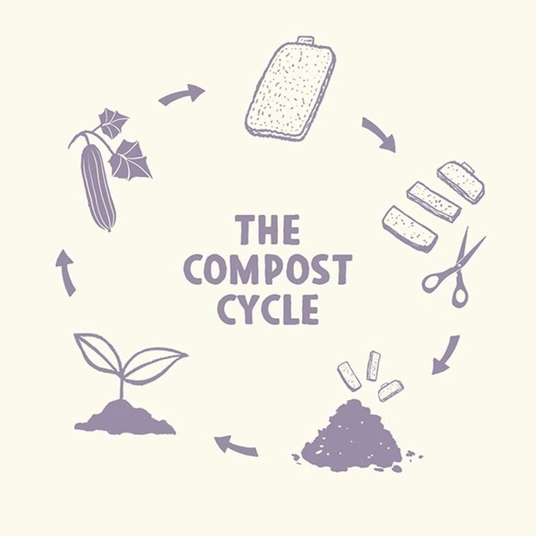 GreenAware, roślinna myjka do naczyń, luffa