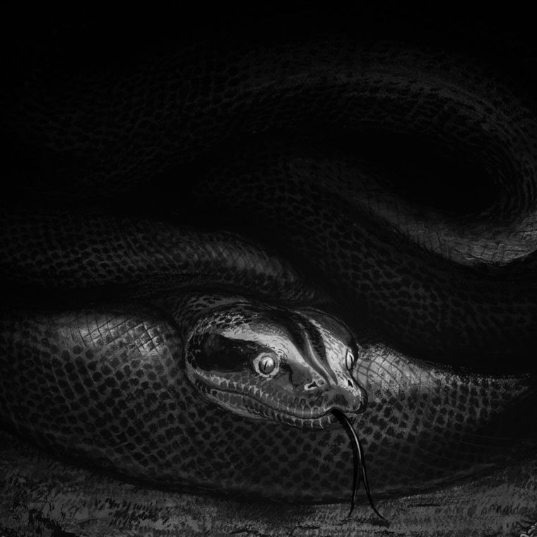 Harry Potter i Czara Ognia (wydanie ilustrowane)