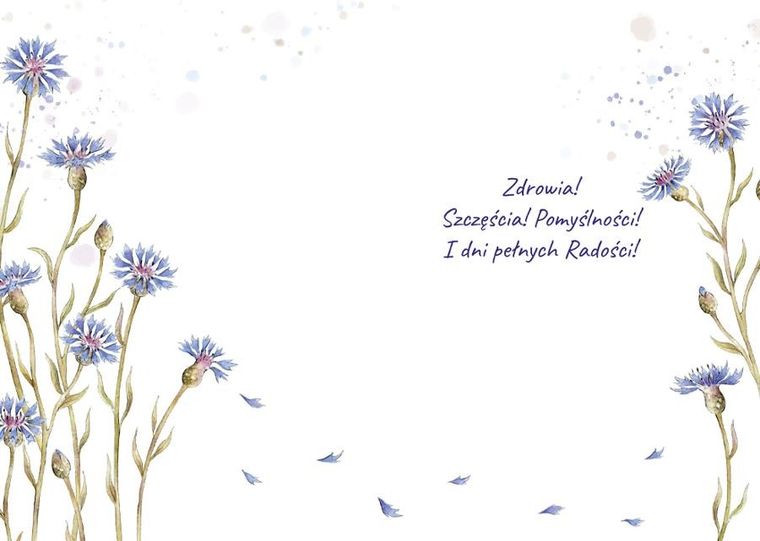 Henry, karnet A5 z kopertą, złocony, Chabry