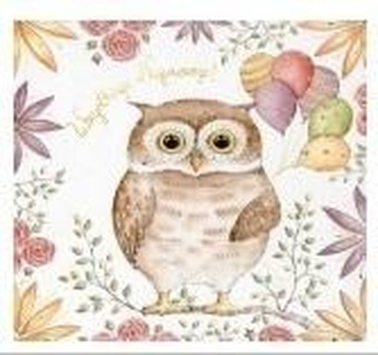 Henry, karnet, sówka