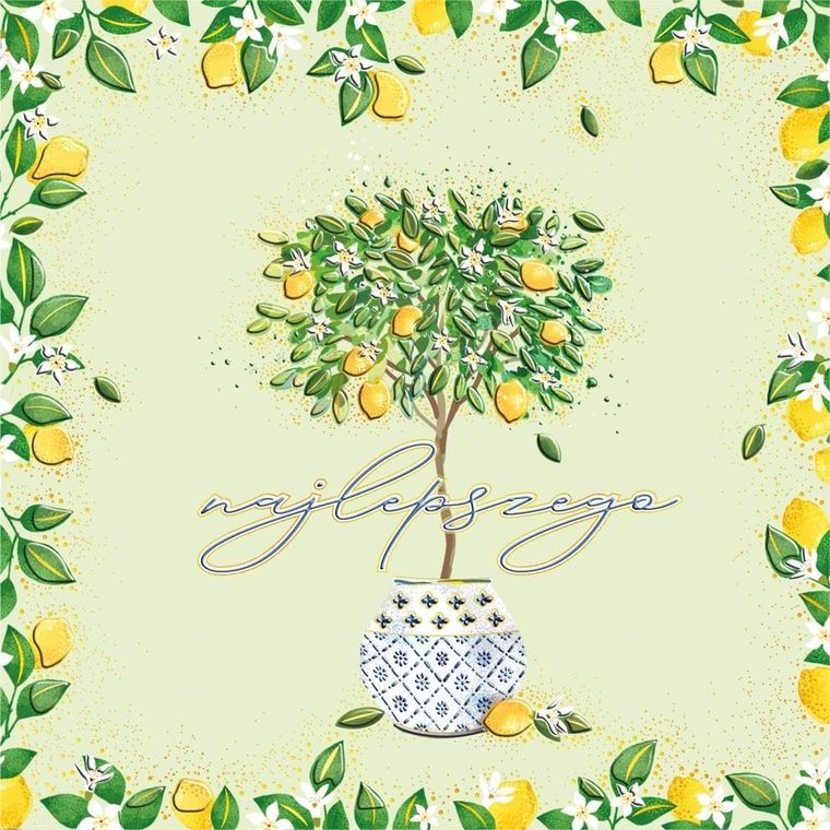 Henry, karnet z kopertą, 15-15 cm, Drzewko Cytryn