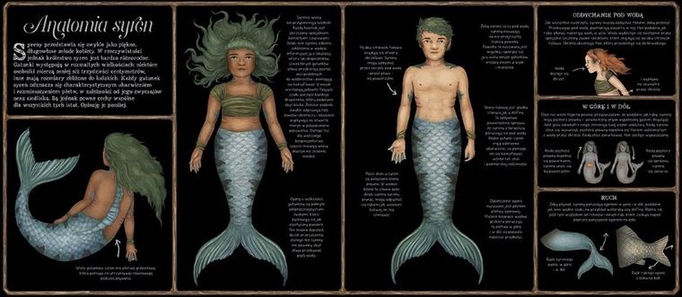 Historia naturalna syren