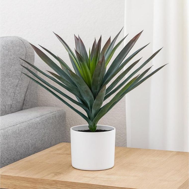 Home Styling Collection, Orno, sztuczna roślina dekoracyjna, agawa w białej doniczce, 40-50 cm
