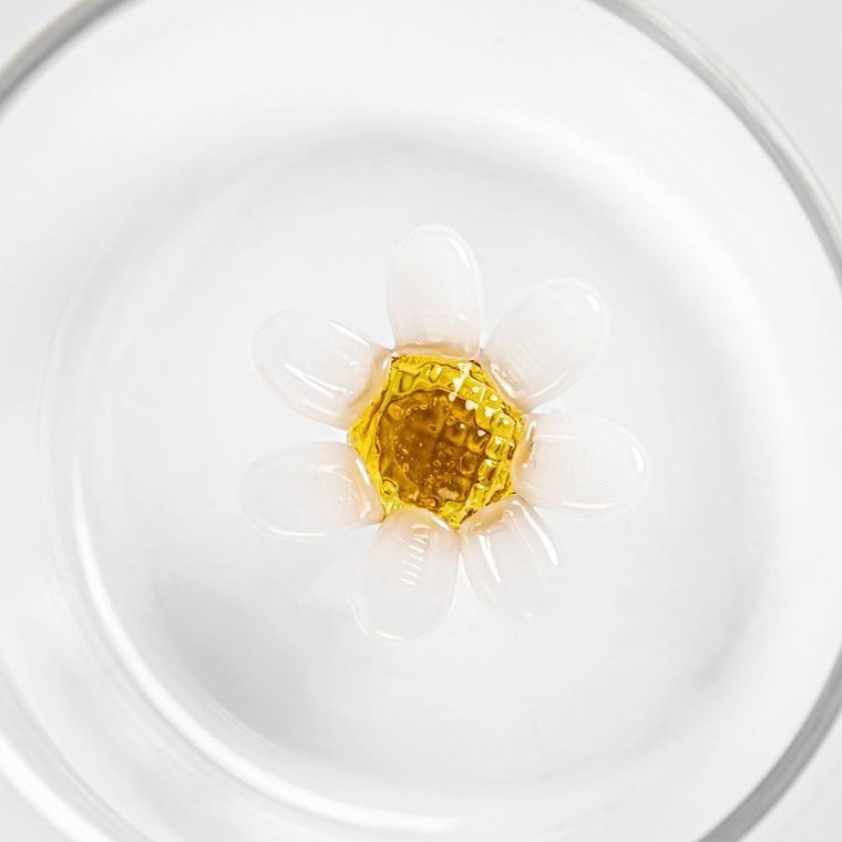 Homla, Campo, szklanka ze stokrotką w środku, 0,4 l