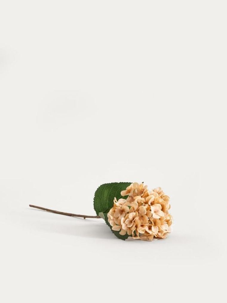 Homla, Fortens, gałązka sztuczna, hortensja beżowa, 52 cm