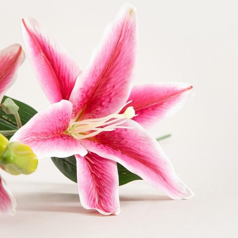 Homla, Lily, gałązka sztuczna, lilia różowa, 73 cm