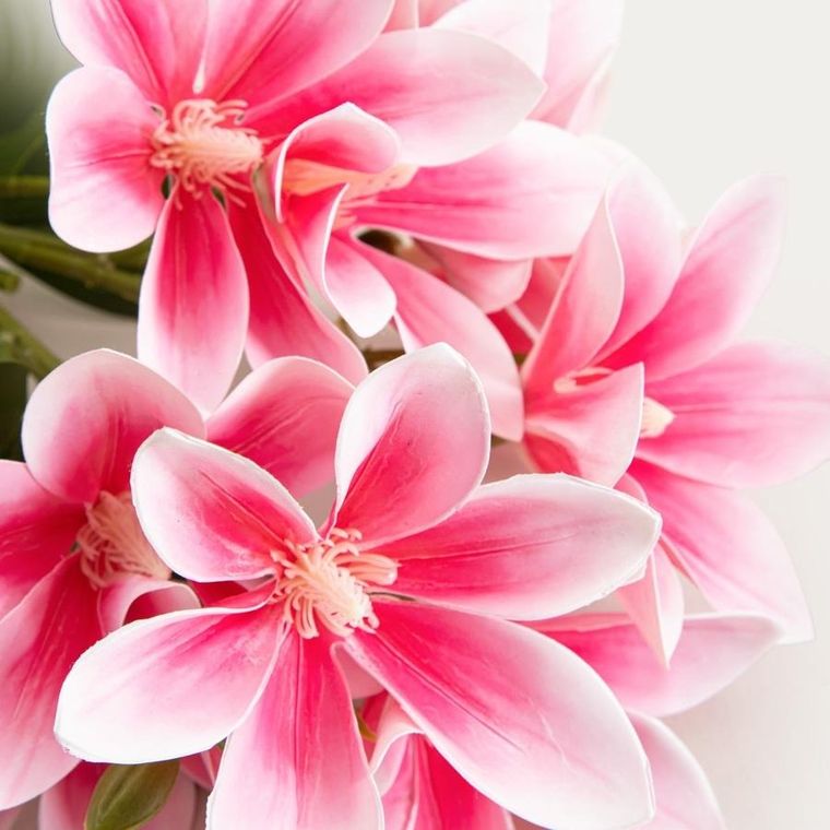 Homla, Lily, gałązka sztuczna, lilia różowa, 75 cm