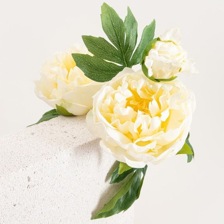 Homla, Paeonia, gałązka sztuczna, piwonie białe, 81 cm