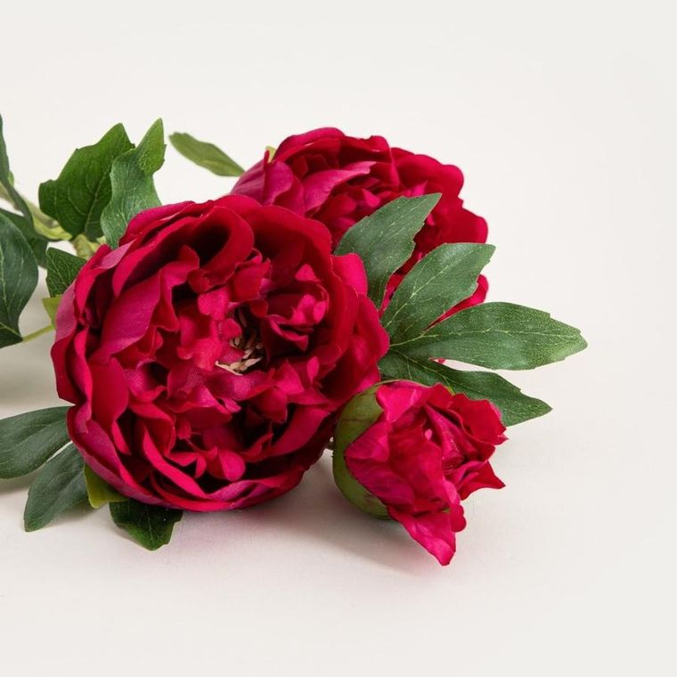 Homla, Paeonia, roślina sztuczna, piwonie ciemnoróżowe, 81 cm