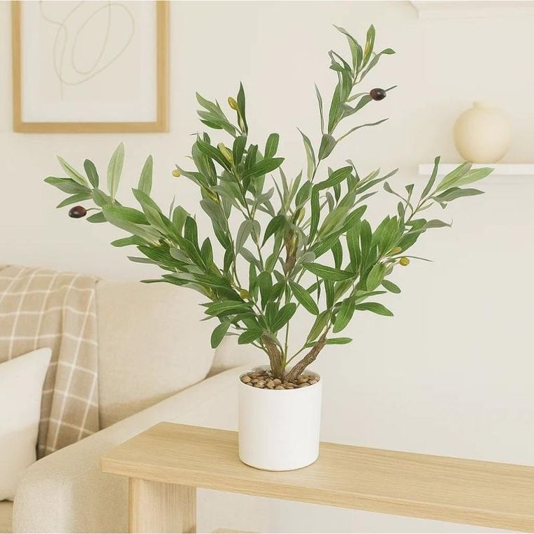 Ibergarden, dekoracyjne drzewko oliwne, 58 cm