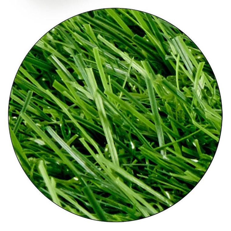 Ibergarden, sztuczna trawa na balkon, rolka, wysokość 2,2 cm, 1-3 m