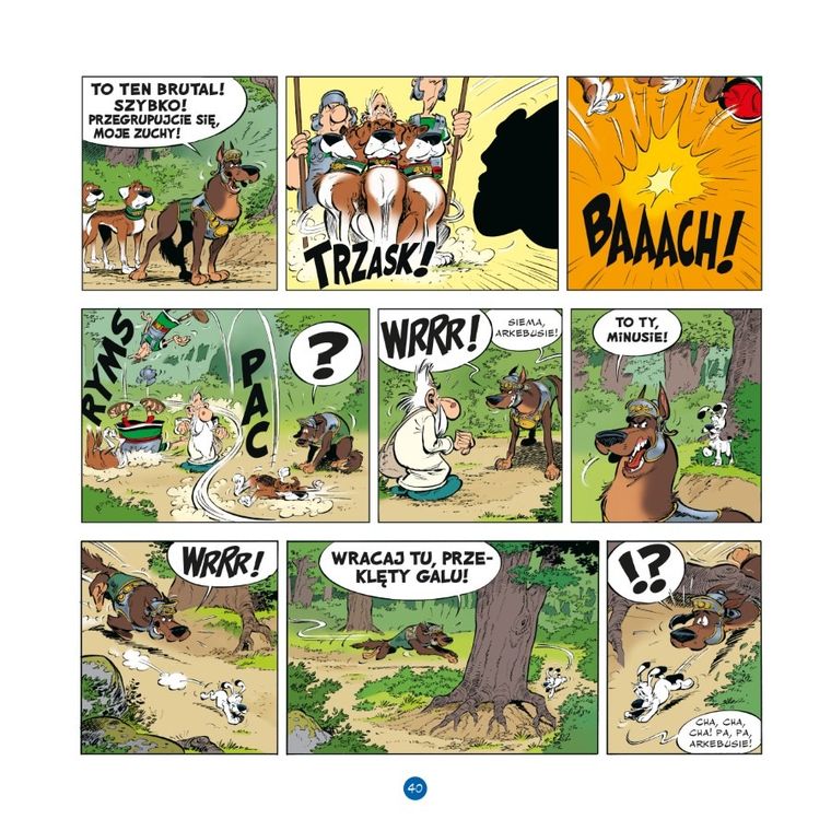 Idefiks i Nieugięci. Tom 1. W tej dzielnicy żadnej łaciny