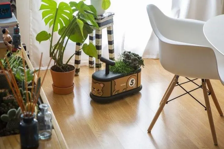 Italtrike, La Cosa, jeździk dla dzieci, Lew