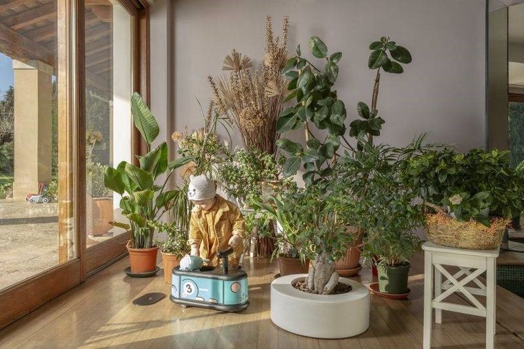 Italtrike, La Cosa, jeździk dla dzieci, Myszka