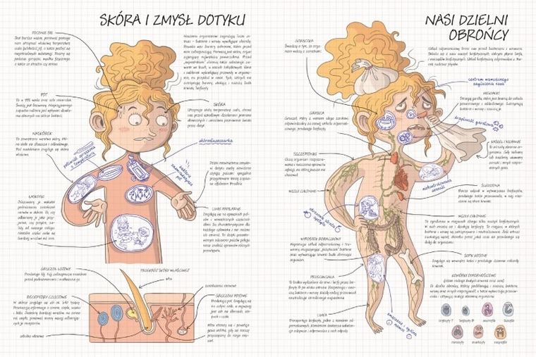 Jak to działa? Ciało człowieka