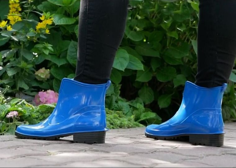 Kalosze damskie, niebieskie, Elke, Lemigo