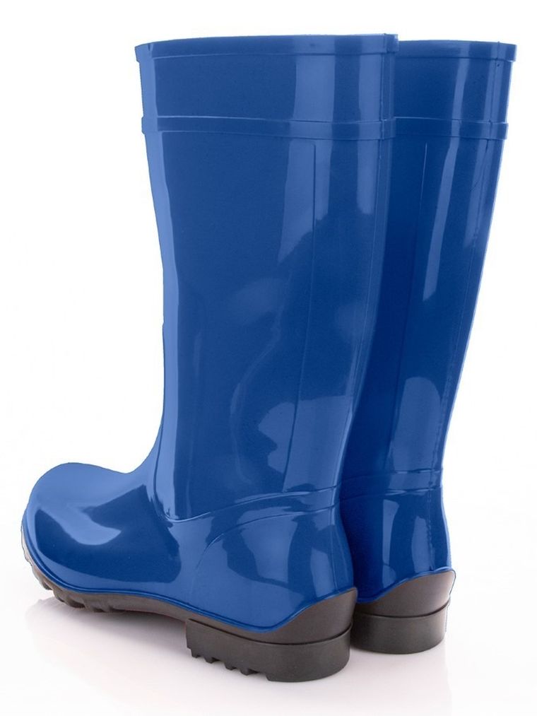 Kalosze damskie, niebieskie, Ilse, Lemigo