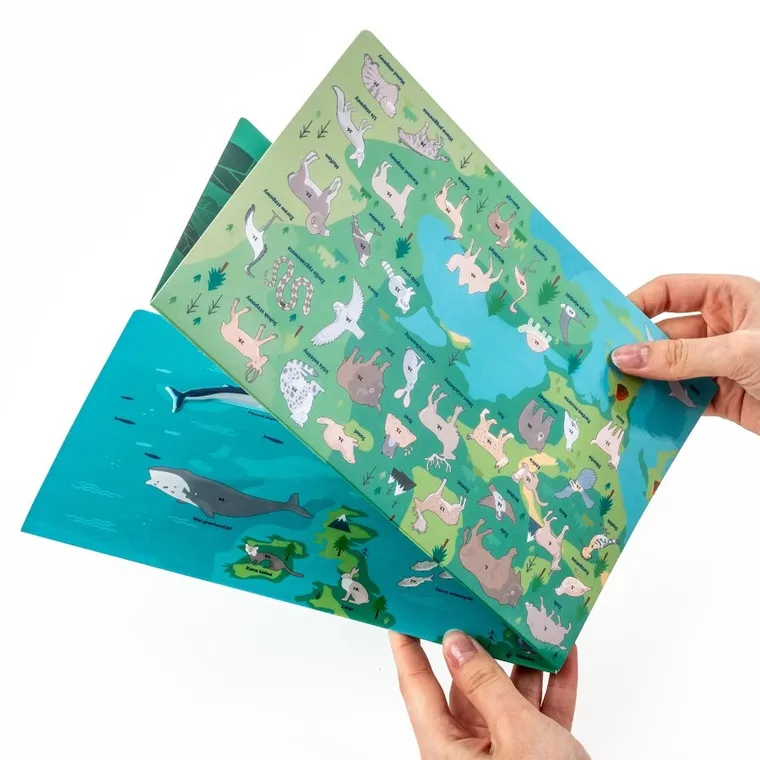 Kidea, Gdzie one żyją? Zwierzęta Europy, wyklejanka + gra