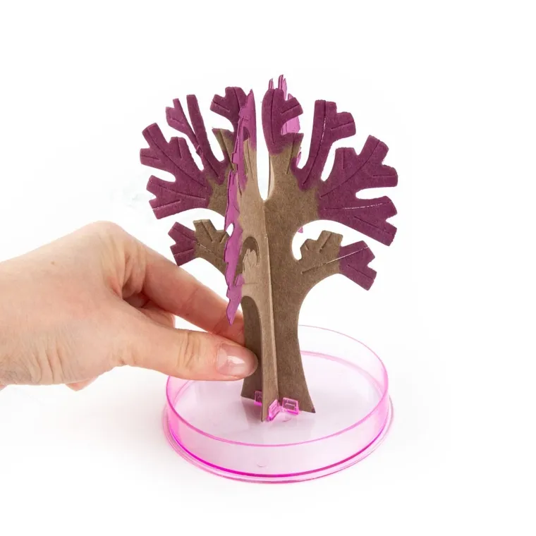 Kidea, kwitnące drzewo sakura, zestaw edukacyjny