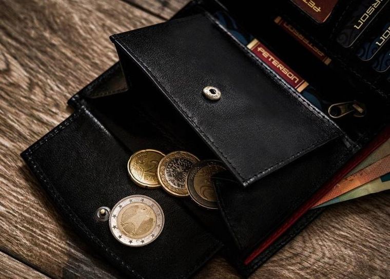 Klasyczny portfel męski ze skóry naturalnej, Peterson