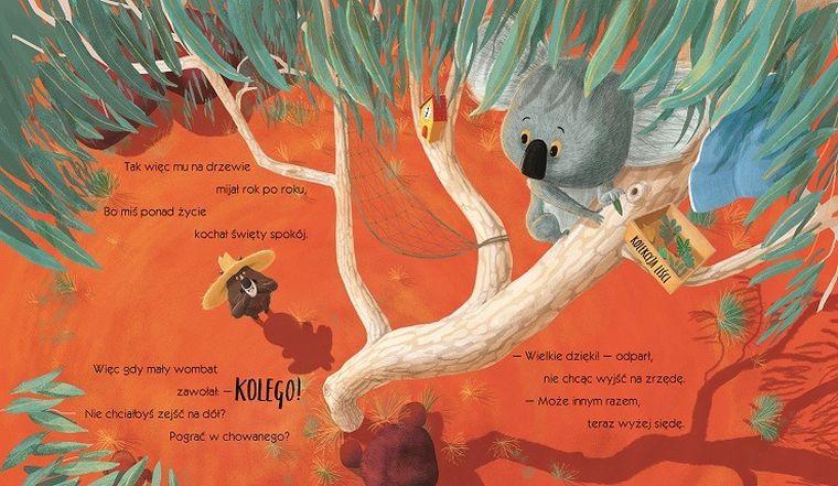 Koala, który się trzymał