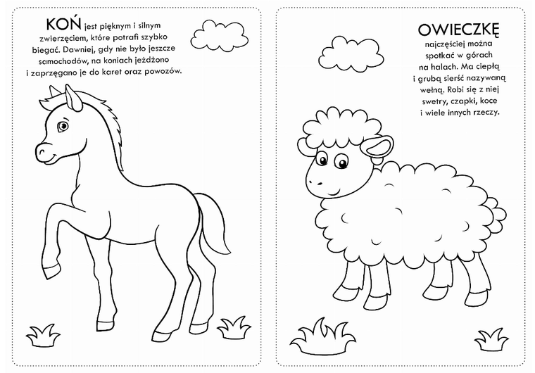 Kolorowanka z naklejkami. Zwierzaczki wiejskie