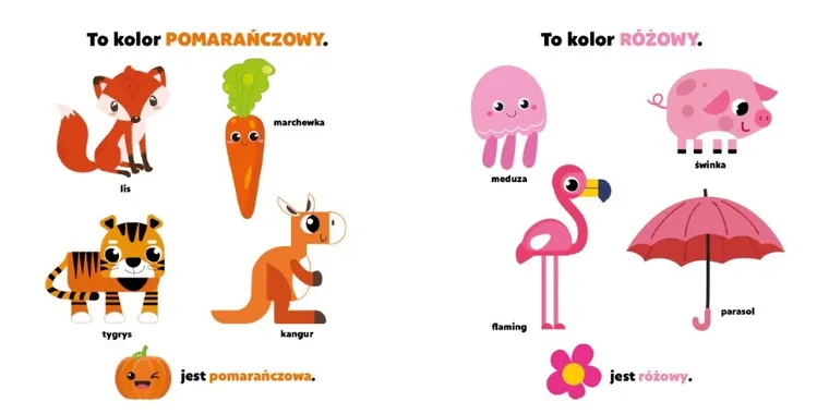 Kolory. Maluch poznaje