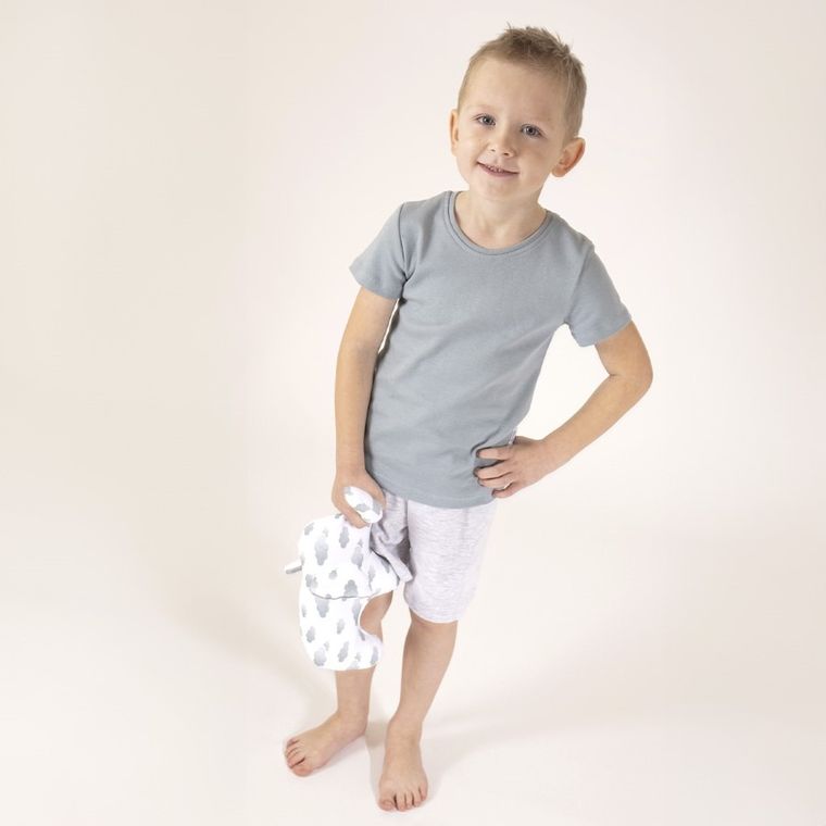 Komplet chłopięcy, T-shirt, Szorty, mix, Nicol