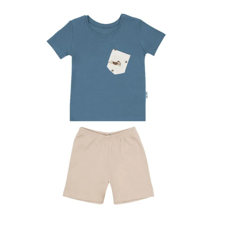 Komplet chłopięcy, T-shirt, Szorty, mix, Nicol