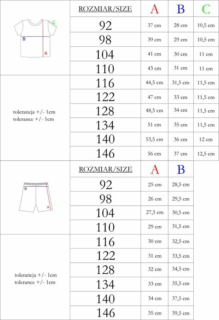 Komplet chłopięcy, T-shirt, Szorty, mix, Nicol