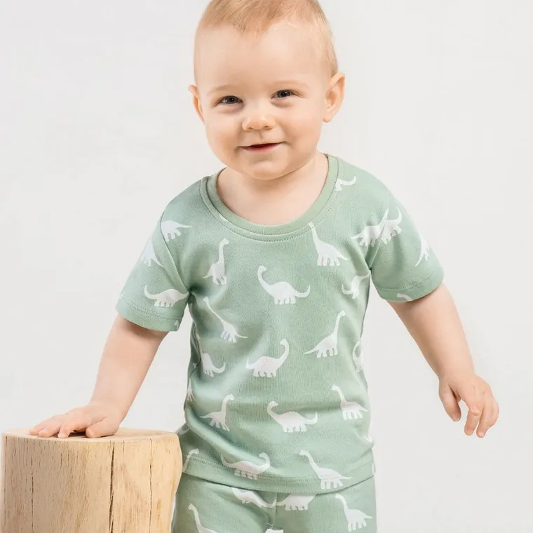 Komplet chłopięcy, T-shirt, Szorty, zielony, Nicol