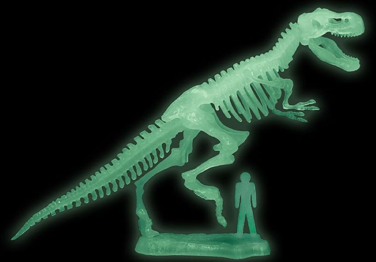 Kosmos, T-Rex, zestaw archeologiczny
