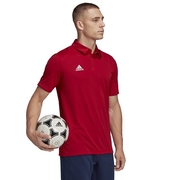 Koszulka polo męska z krótkim rękawem, czerwona, Adidas Entrada 22 Polo