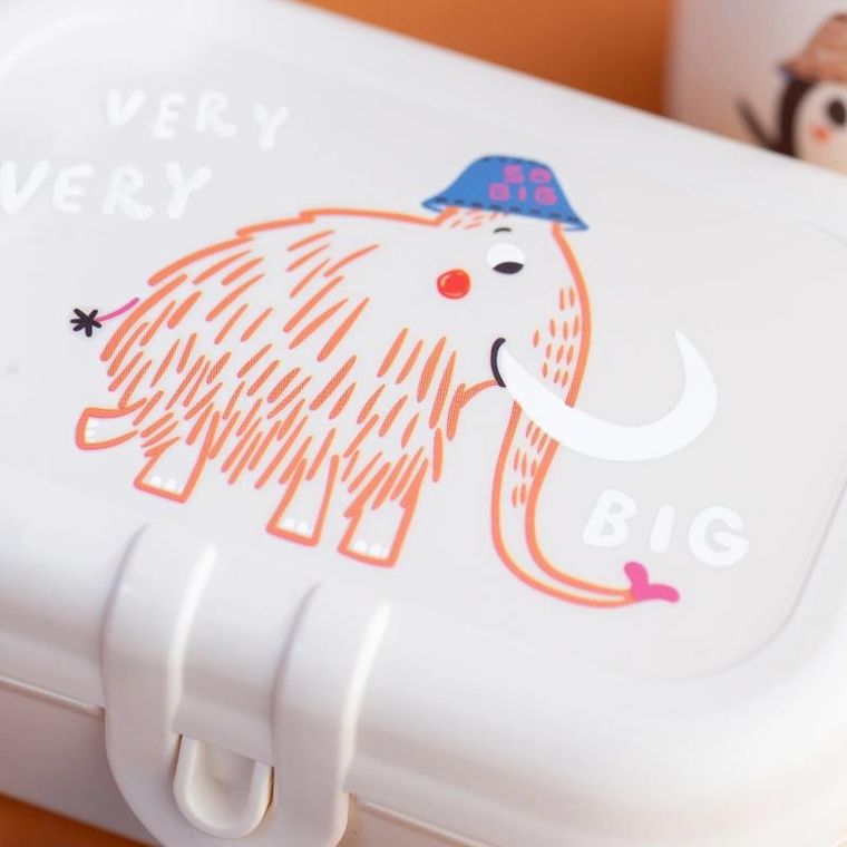 Koziol, Hop On At Home, zestaw lunchboxów, 2 szt. + bidon, 200 ml