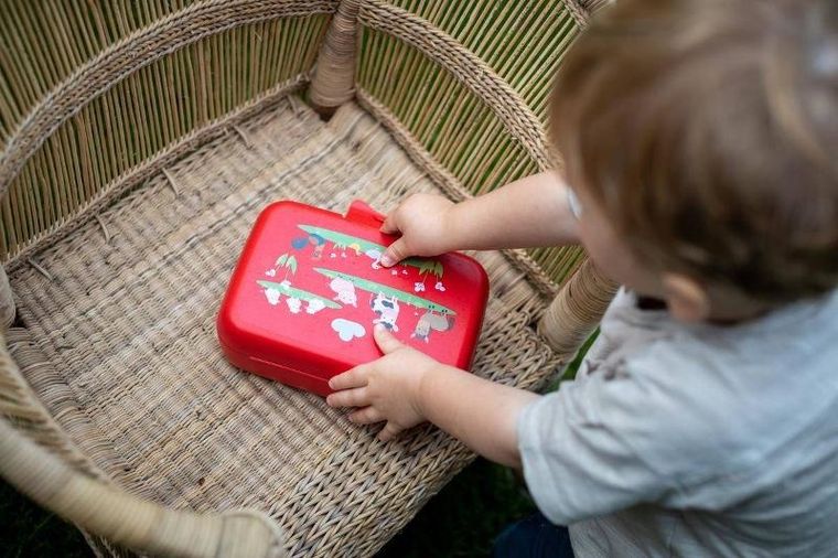 Koziol, lunchbox dla dzieci, Candy L, organic