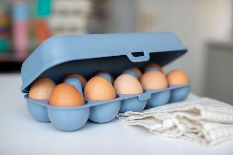 Koziol, pojemnik na jajka, eggs to go, na 10 jajek