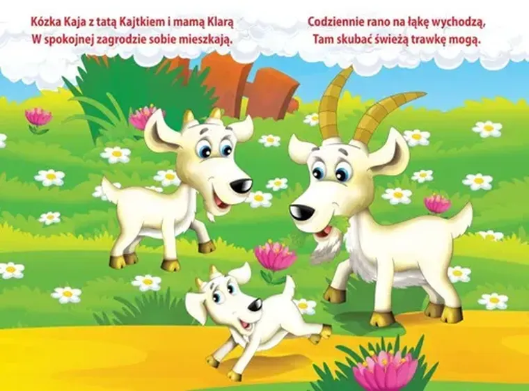 Kózka Kaja z zagrody