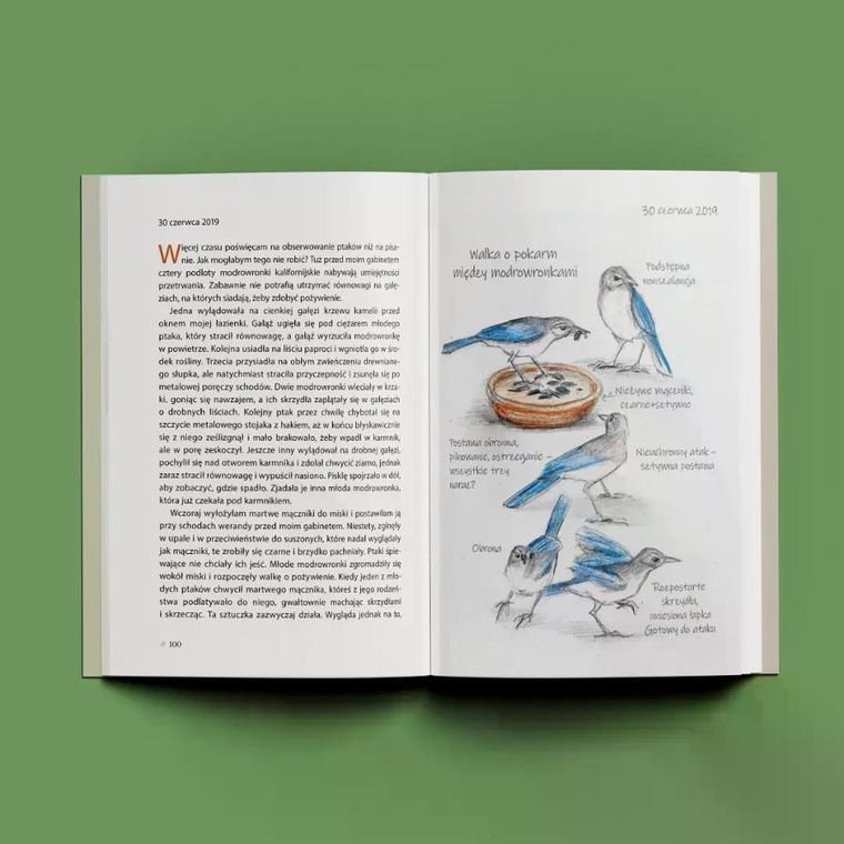 Kroniki ptaków z podwórka