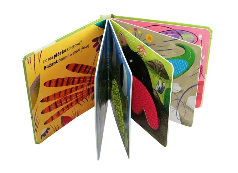 Łąka. Dotykam poznaję