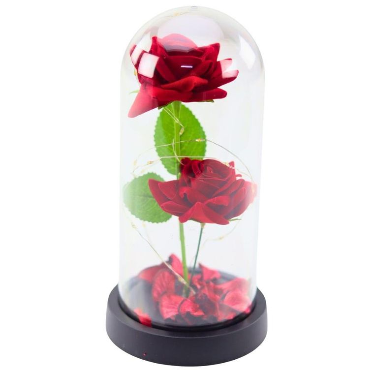 Lean Toys, 2 wieczne róże w kopule, z oświetleniem LED