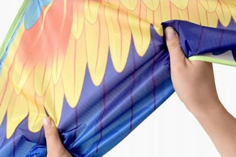 Lean Toys, latawiec, ptak, kolorowy