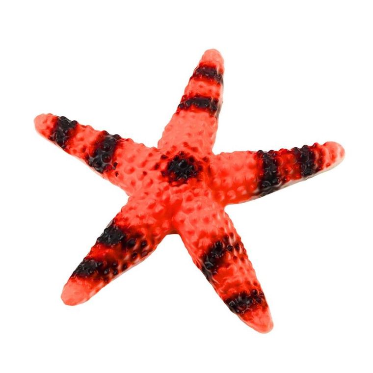 Lean Toys, zwierzęta morskie, zestaw figurek, 5 elementów