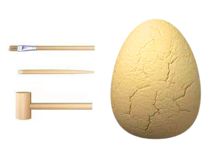 Leantoys, wykopaliska dinozaurów, zestaw archeologiczny