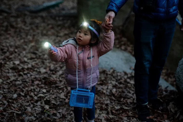 Ledlenser, latarka dziecięca, Kidled4R, Tęcza