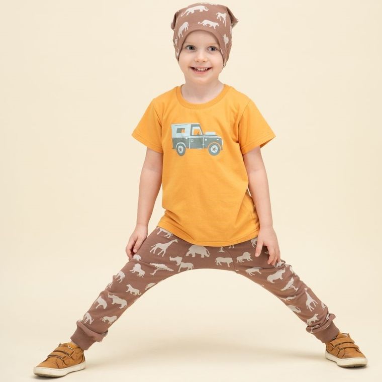 Legginsy chłopięce, brązowe, Pinokio