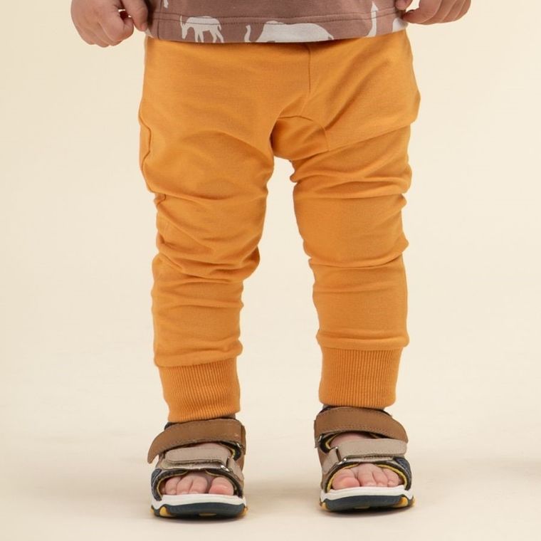 Legginsy chłopięce, pomarańczowe, Pinokio