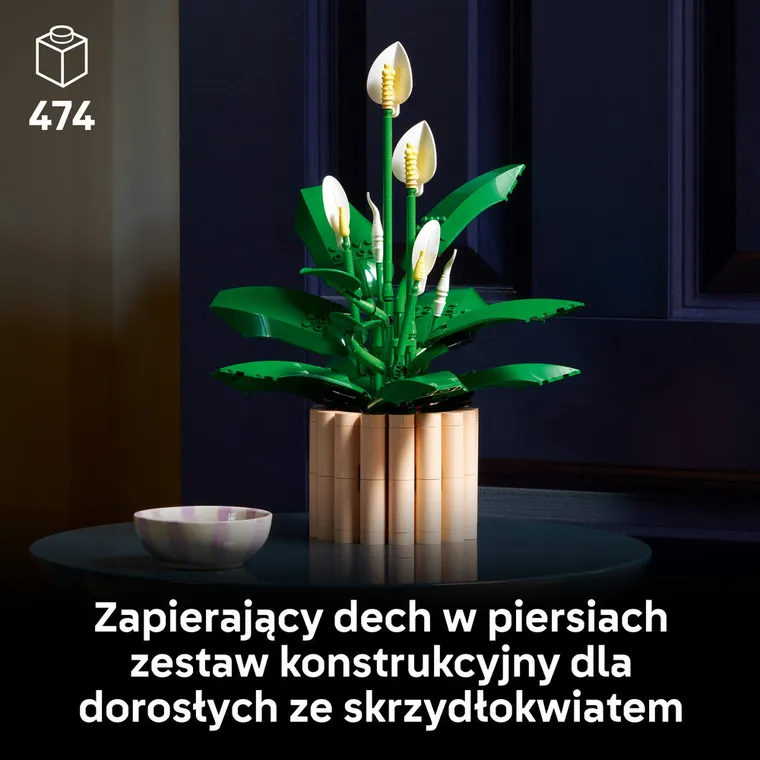 LEGO Botanicals, Skrzydłokwiat, 11504