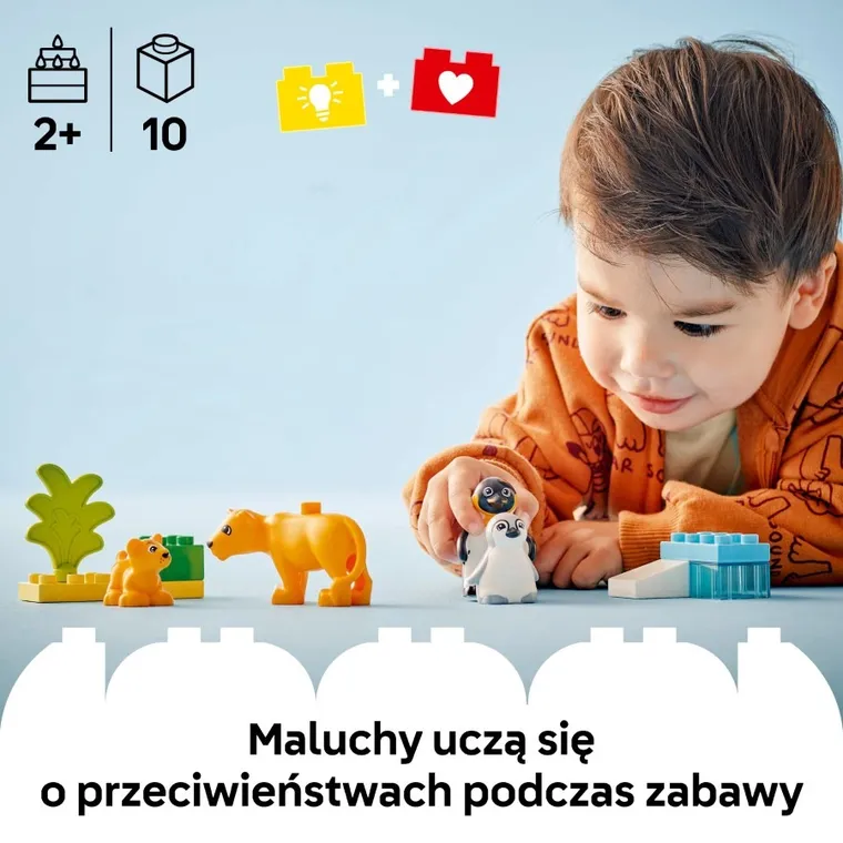 LEGO DUPLO, Rodziny dzikich zwierząt: pingwiny i lwy, 10442