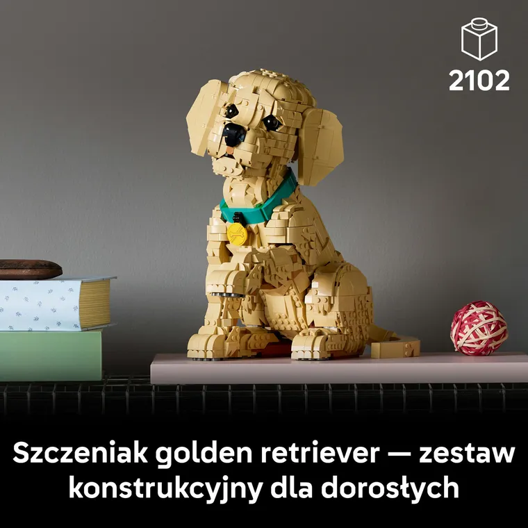 LEGO Icons, Szczeniak golden retriever, 11384