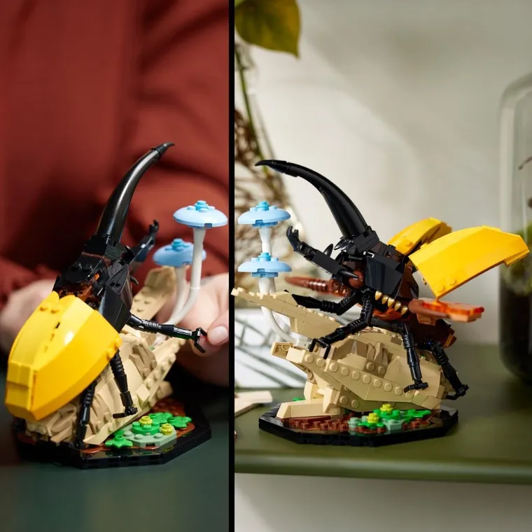 LEGO Ideas, Kolekcja owadów, 21342